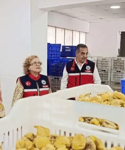 Aydın'ın sarı altını incir için denetimler sıklaştırıldı