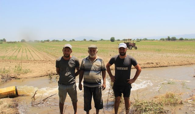 Aydın Ovası´nda çiftçilerin 44 derece sıcakta ekmek mücadelesi