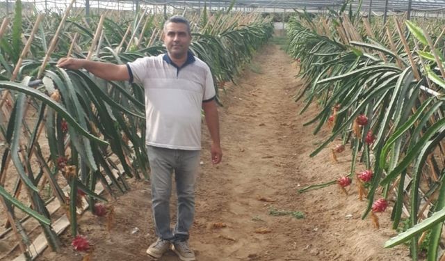 Küresel ısınma Aydın´da fırsata dönüşüyor