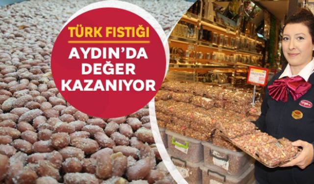 Türk fıstığı Aydın´da değer kazanıyor