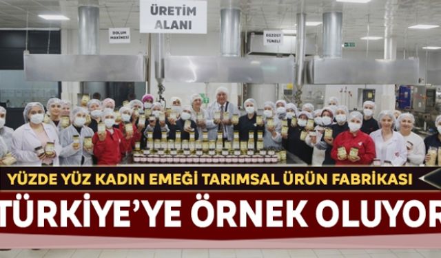 Yüzde Yüz Kadın Emeği Tarımsal Ürün Fabrikası Türkiye´ye örnek oluyor