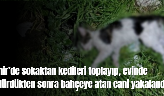 İzmir´de sokaktan kedileri toplayıp, evinde öldürdükten sonra bahçeye atan cani yakalandı