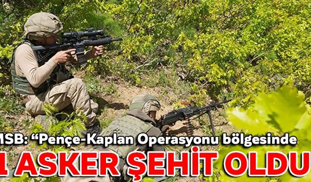MSB: Pençe-Kaplan Operasyonu bölgesinde 1 asker şehit oldu""