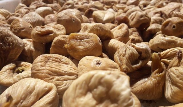 ABD’de kuru incir ihracatı son 1 yılda yüzde 42 arttı
