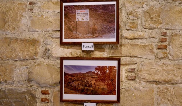 Türkiye'nin 55 şehrini 65 gün dolaşarak fotoğrafladı