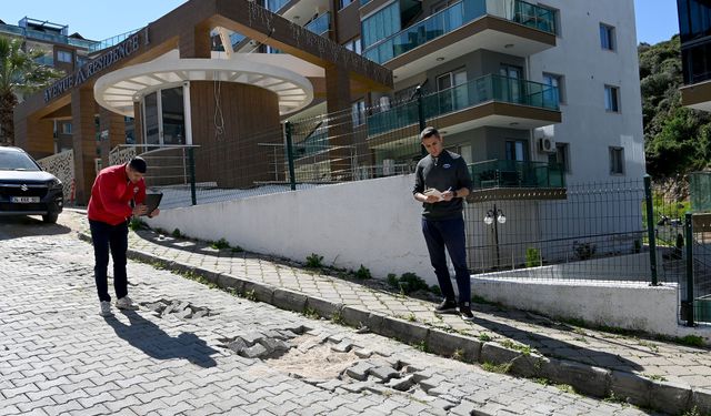 Güvercin Masa Ekipleri Sahada Çalışmalarını Sürdürüyor