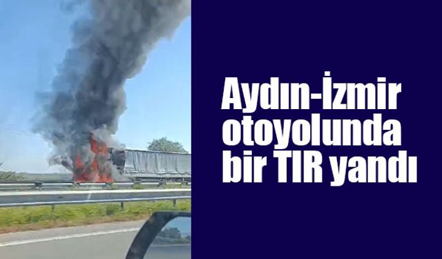 Aydın-İzmir otoyolunda tır yangını