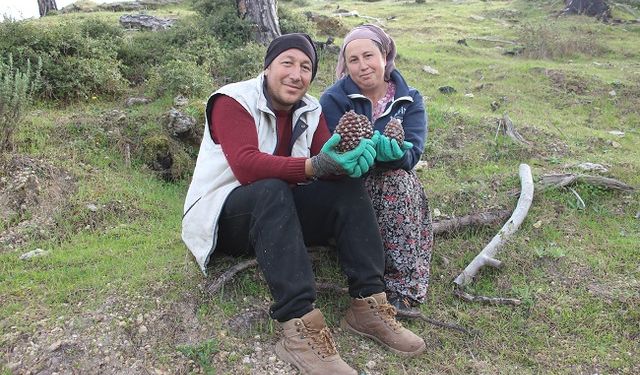 Metrelerce yükseklikte ekmek parası için gözünü kırpmadan çalışıyor
