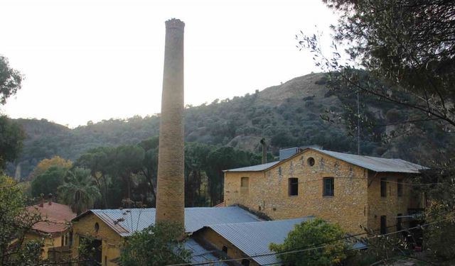 Bir asırdır ayakta