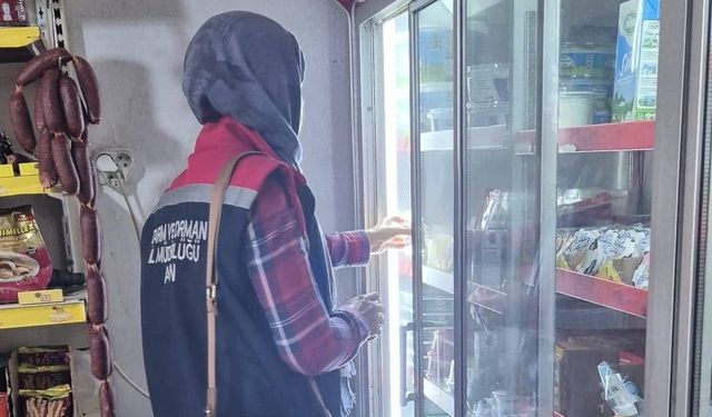 Söke’de riske dayalı gıda işletmeleri denetlendi