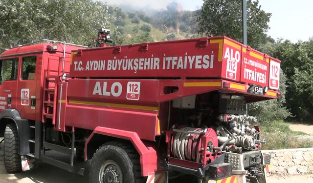 Aydın'daki yangın kontrol altına alındı