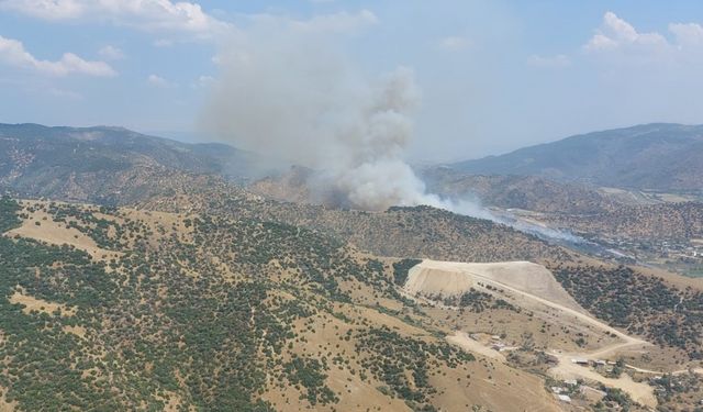 Aydın’da zirai alan yangını