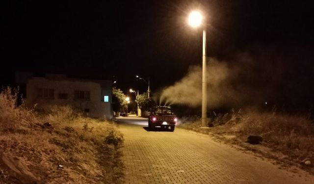 Karacasu’nun ’sinek timi’ işbaşında