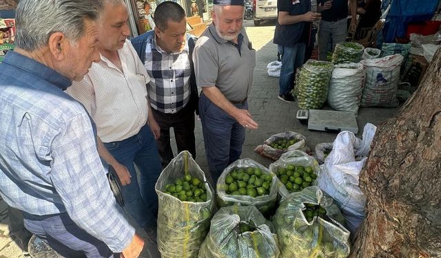 Köşk’te ilek pazarında denetim gerçekleştirildi