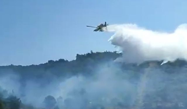 Kuşadası’nda orman yangını