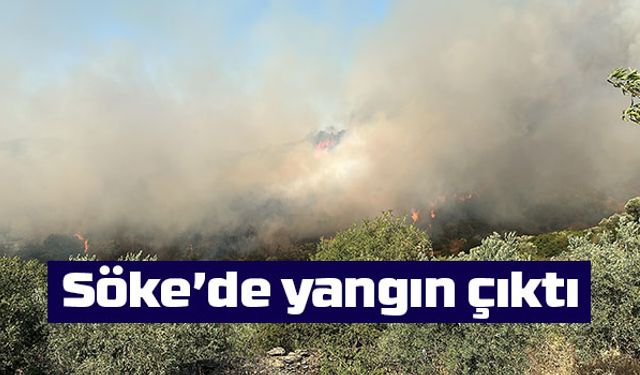 Söke’de zirai alanda yangın çıktı