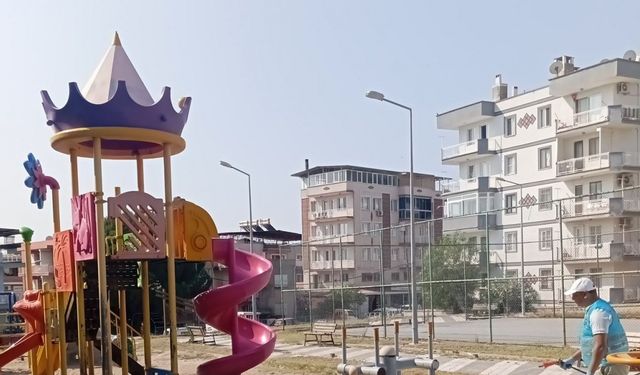 Söke’de ’kene’ mücadelesi başatıldı