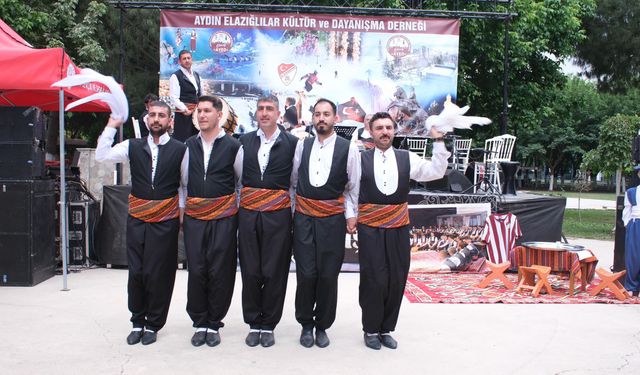 Peynirli Ekmek ve Patila Şenliği kültürel buluşmaya dönüştü