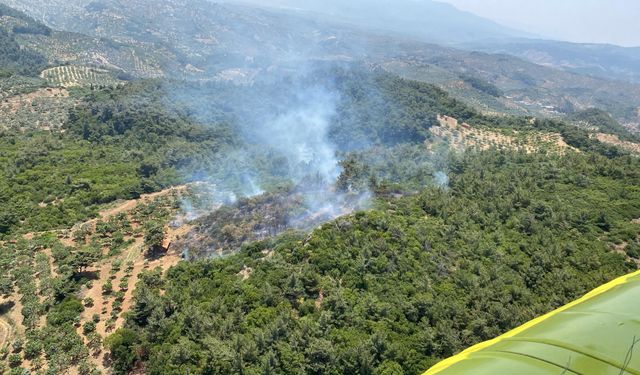 Germencik’teki orman yangını kontrol altına alındı