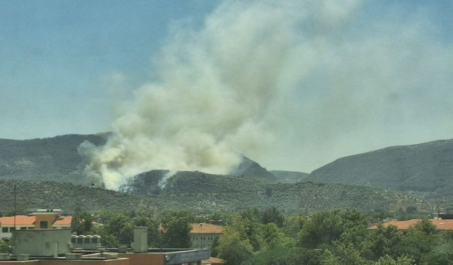 Selçuk'ta çıkan yangına müdahale sürüyor