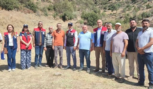 Aydın’da mera ıslah projeleri sürüyor