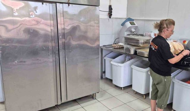 İlçe tarım ekiplerinden eşzamanlı çapraz denetim