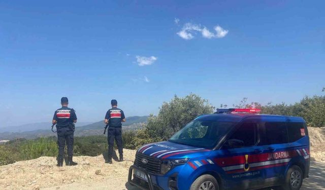 Jandarmanın orman devriyesi sürüyor
