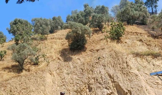 Köşk’teki zirai alan yangını kontrol altına alındı