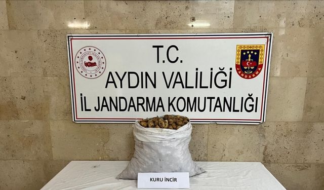 Motosikletli incir hırsızı jandarmadan kaçamadı