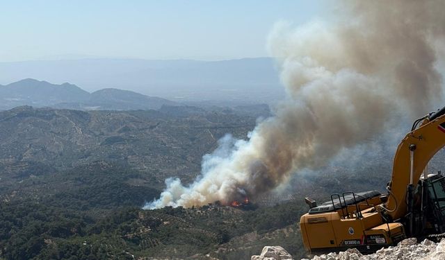 Germencik'te ormanlık alanda yangın çıktı