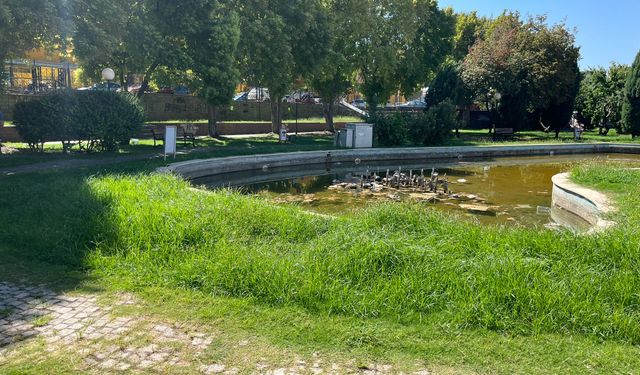 Efeler’deki Nevzat Biçer Parkı bakımsızlıktan kullanılmaz hale geldi