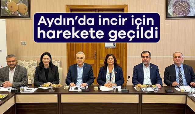 Aydın’da incir için harekete geçildi