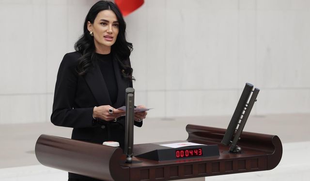 AK Parti Aydın Milletvekili Seda Sarıbaş’tan 24 Kasım Öğretmenler Günü Mesajı