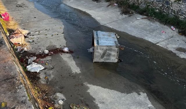 Çöp konteynerleri ilçe kanalına atıldı