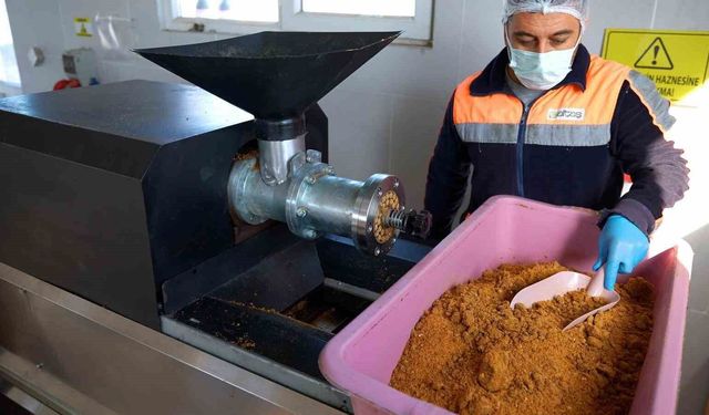 Didim'de her geri dönüşüm, can dostlara umut olacak