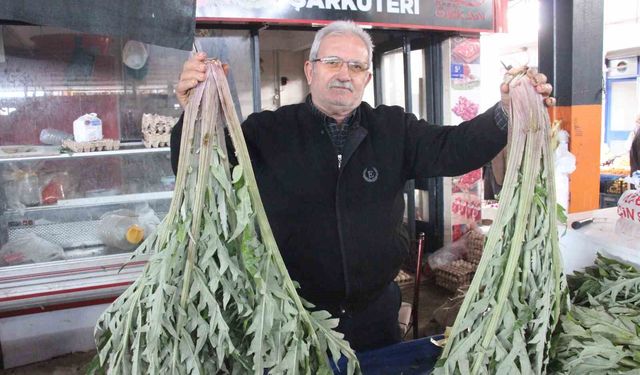 Karaciğer dostu enginar pazarda yoğun ilgi görüyor