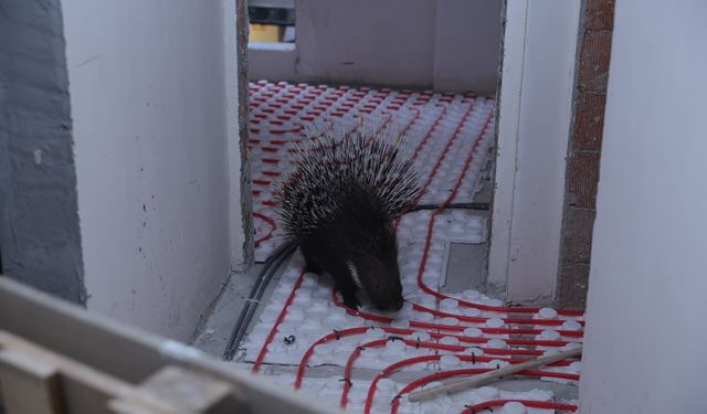İncirliova Belediyesi ekiplerinden örnek davranış