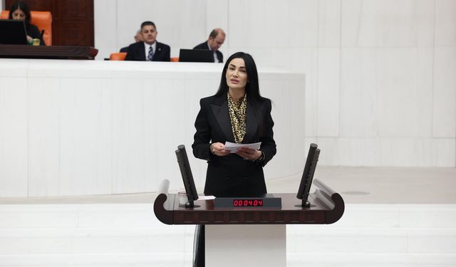 Milletvekili Sarıbaş’tan KİK bütçesi vurgusu: Şeffaf ve güçlü Türkiye