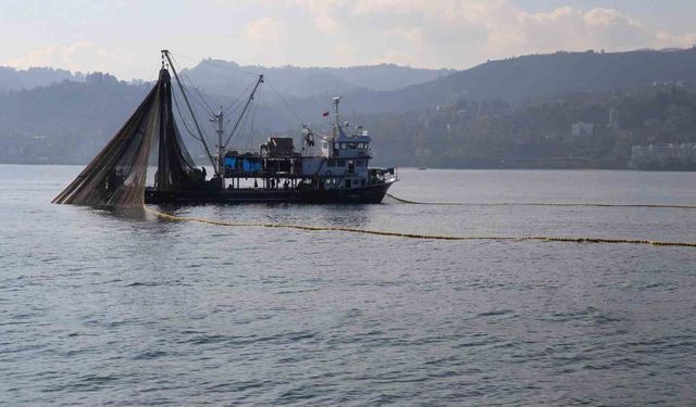 Kuşadası'nda dil ve pisi balığı avcılığına geçici yasak