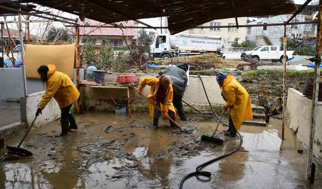 Söke Belediyesi ekipleri selin yaralarını sarmak için sahada