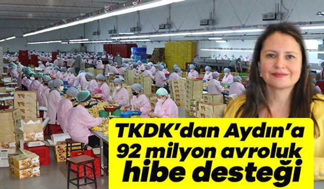 TKDK’dan Aydın’a 92 milyon avroluk hibe desteği