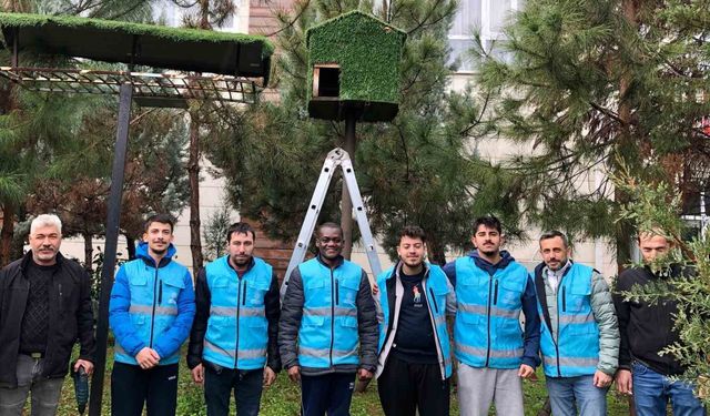 Yurt öğrencileri kuşlar için ev yaptılar