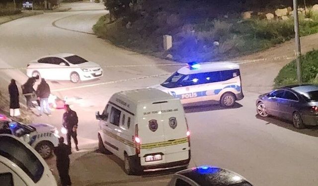 Araç içerisinde öldürüp, yol kenarına attılar