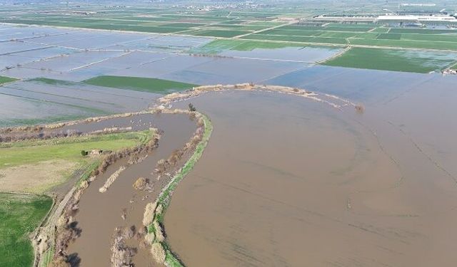 Menderes taştı, yüzlerce dönüm sular altında kaldı
