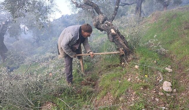 Film sahnesi değil gerçek hayat