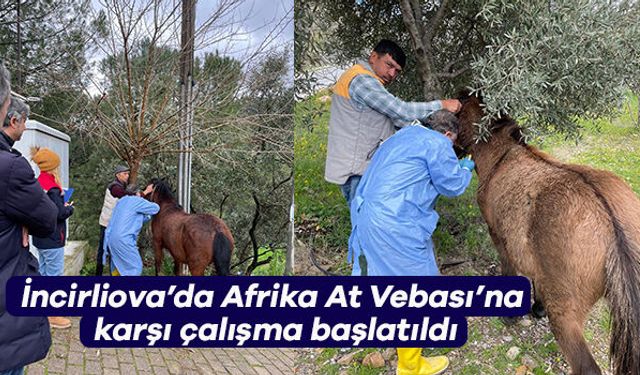 İncirliova'da Afrika At Vebası'na karşı çalışma başlatıldı
