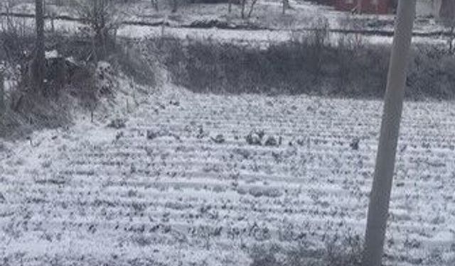 Aydın'ın yüksekleri beyaza büründü