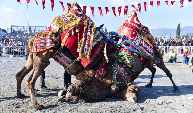 Hasret bitiyor yılın ilk güreşi İncirliova'da yapılacak