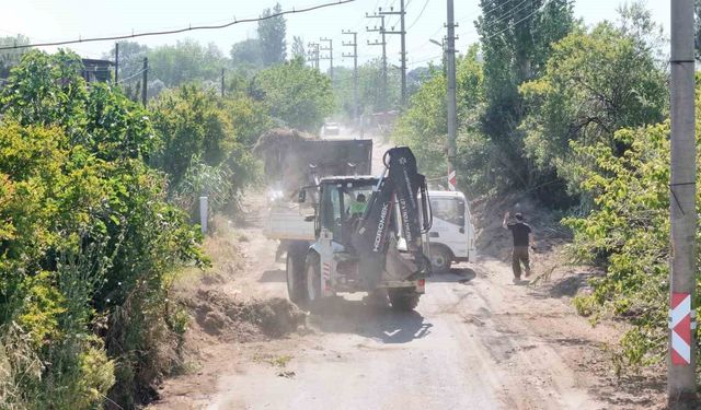 Aydın'da kırsal mahalle yollarında bakım ve temizlik çalışması