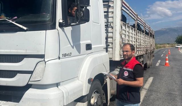 Aydın'da kurbanlık nakil yol kontrolleri yapıldı
